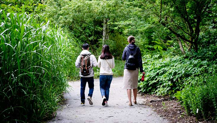Zu sehen sind eine Frau und zwei Kinder von hinten. Sie gehen durch den Botanischen Garten.