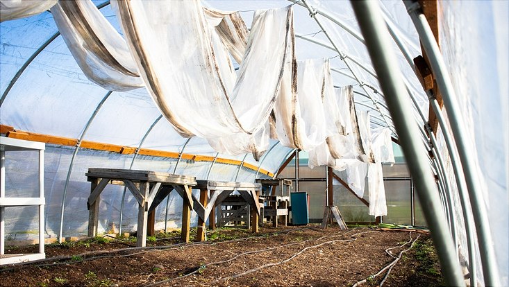 Gewächshaus mit Plastikplanen (von innen betrachtet)