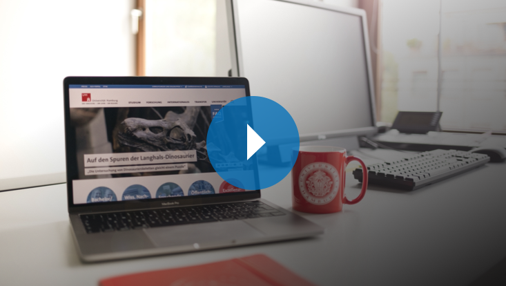 Laptop und Monitor auf einem Tisch