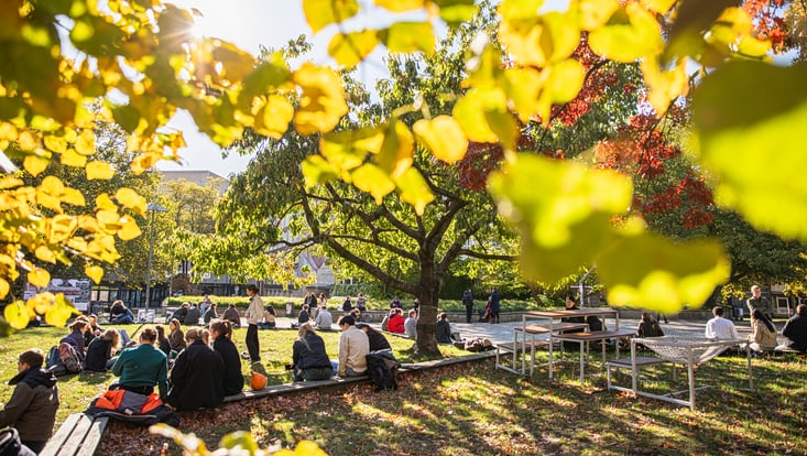 Herbststimmung am Campus der Universität Hamburg