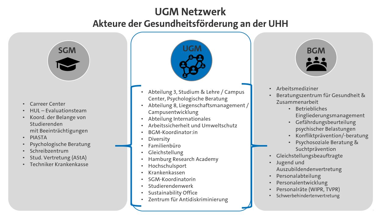 Graphical representation of the university health management network with the actors involved in health promotion at the University of Hamburg: University health management is composed of student and staff health management.