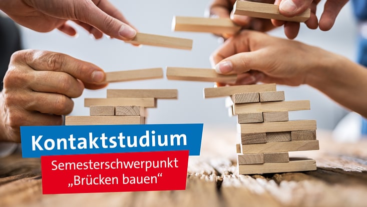 verschiedene Hände, die gemeinsam aus Holzklötzen eine Brücke bauen