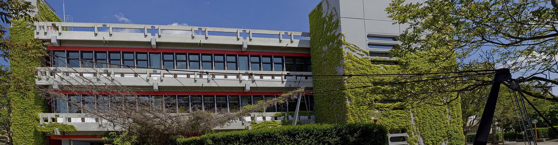 Gebäude 2 von Seitenausgang Gebäude 1 fotografiert. Hecke und Blätterdach vor dem Gebäude. ©PH Karlsruhe 