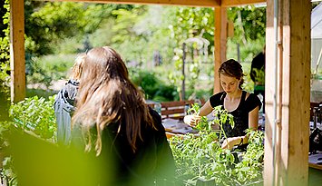Im Ökologischen Lerngarten der Pädagogischen Hochschule Karlsruhe. Foto: Stefan Held / Pädagogische Hochschule Karlsruhe