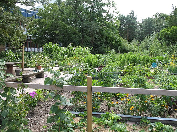 Garten mit Beete und Sträucher