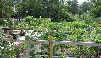 Garten mit Beete und Sträucher